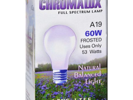 Chromalux Light Bulb Frosted-60w - 1 Bulb Fashion