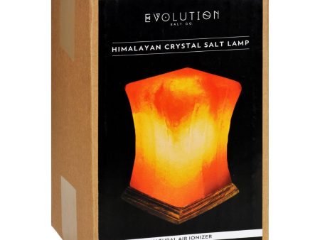 Evolution Salt Crystal Salt Lamp - Pillar - 1 Count Discount