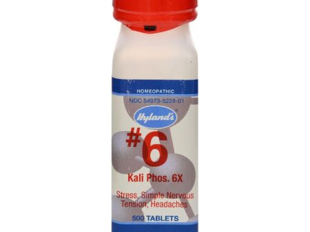 Hyland s Kali Phos 6x Potassium Salt - 1 G - 500 Tablets Online