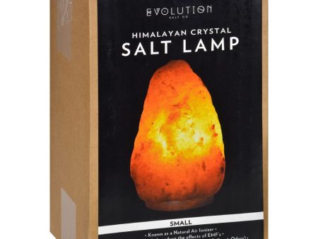 Evolution Salt Crystal Salt Lamp - Natural - 6 Lbs - 1 Count Online