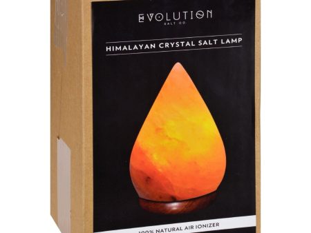 Evolution Salt Crystal Salt Lamp - Raindrop - 1 Count Cheap